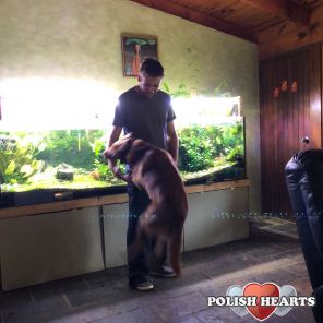 My latest aquarium and me protecting it from dog... My latest aquarium and me protecting it from dog...