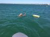 Resting after a long ocean swim